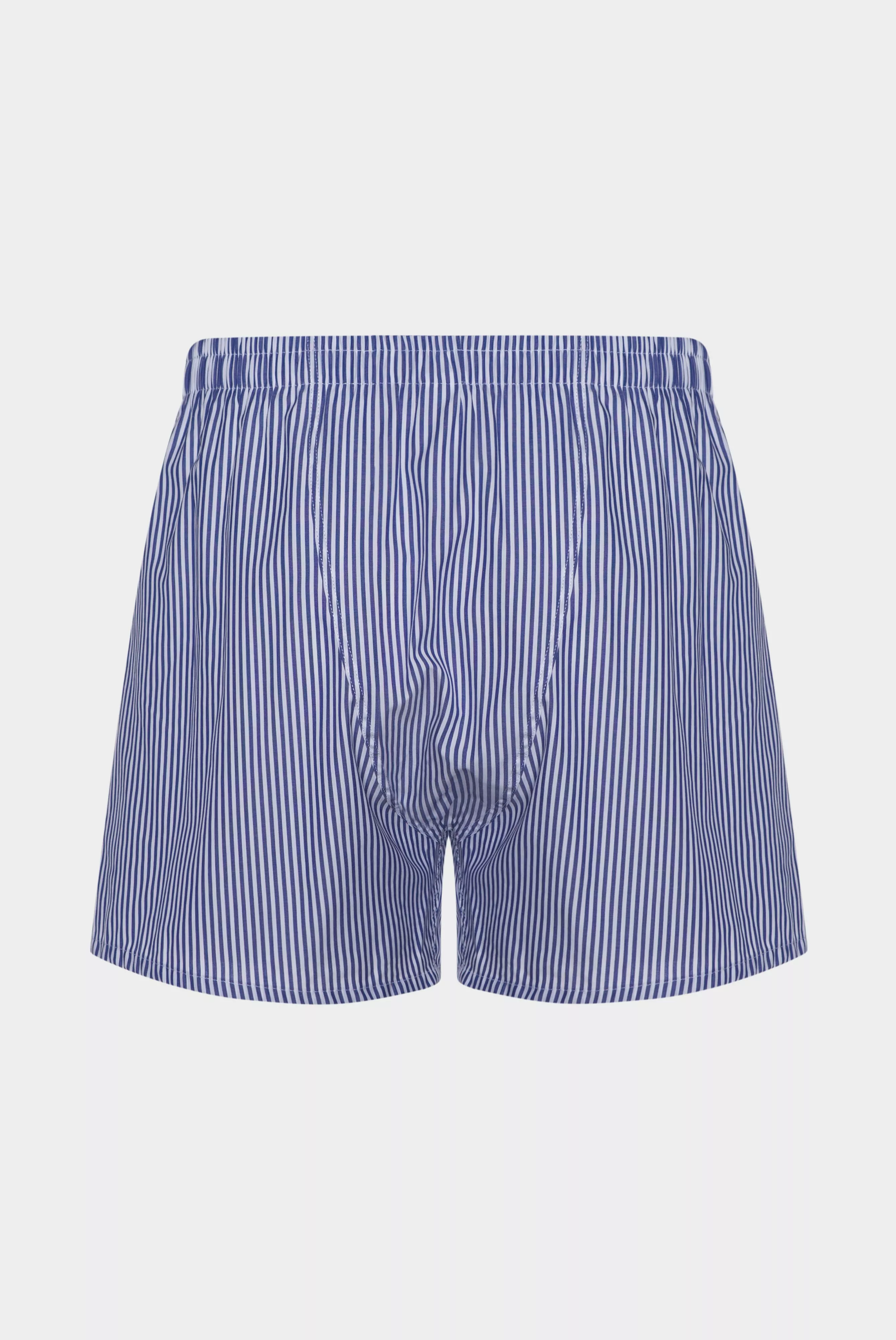 трусы BOXER синий BOXER_151289_780 ,photo 3