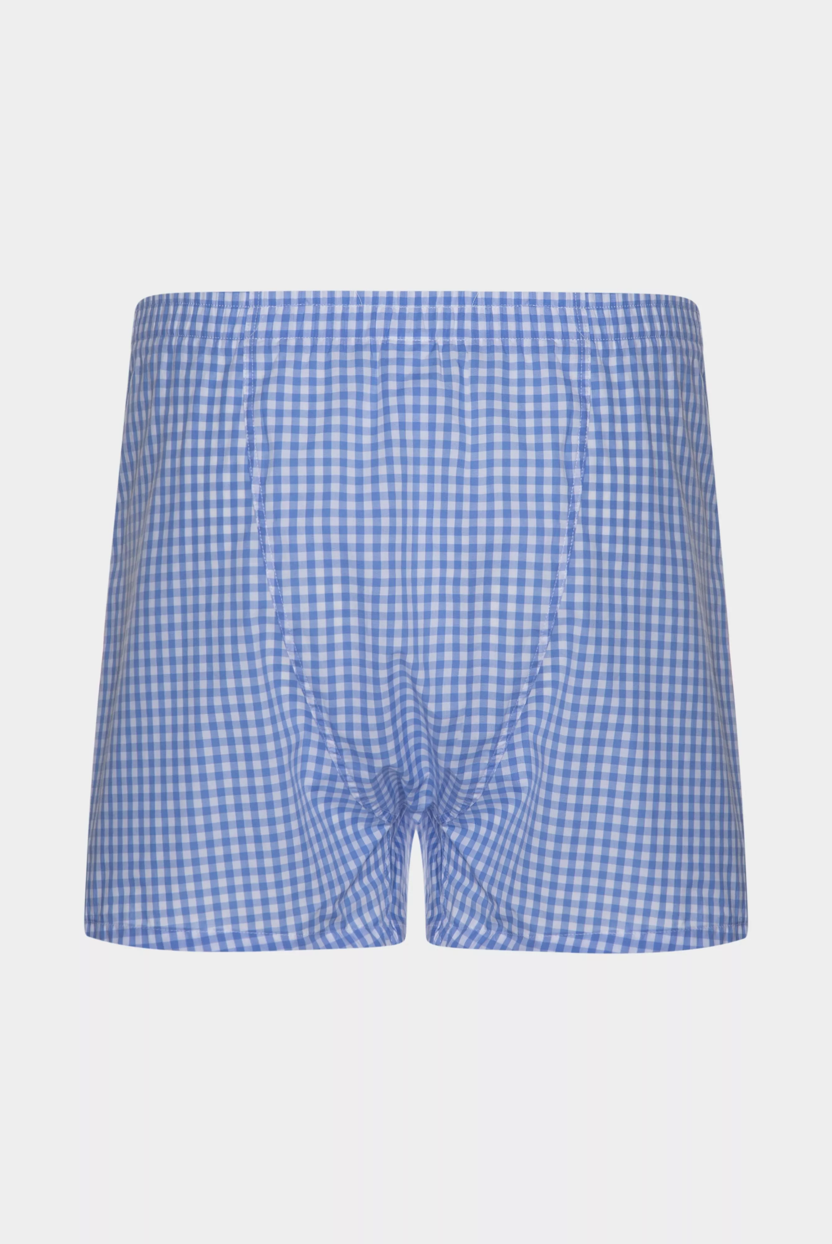 трусы BOXER голубой BOXER_156175_730 ,photo 3