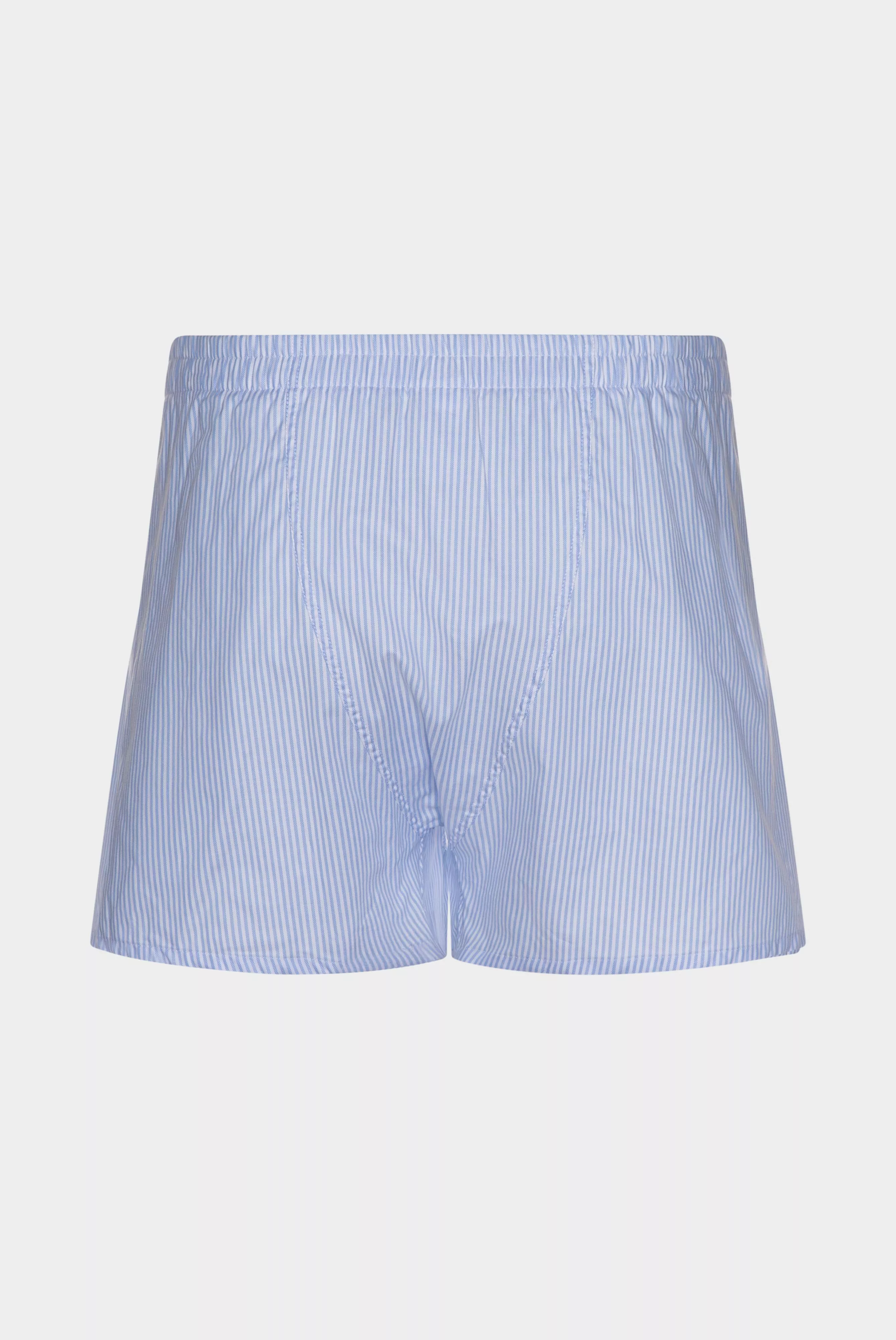 трусы BOXER голубой BOXER_161649_720 ,photo 3