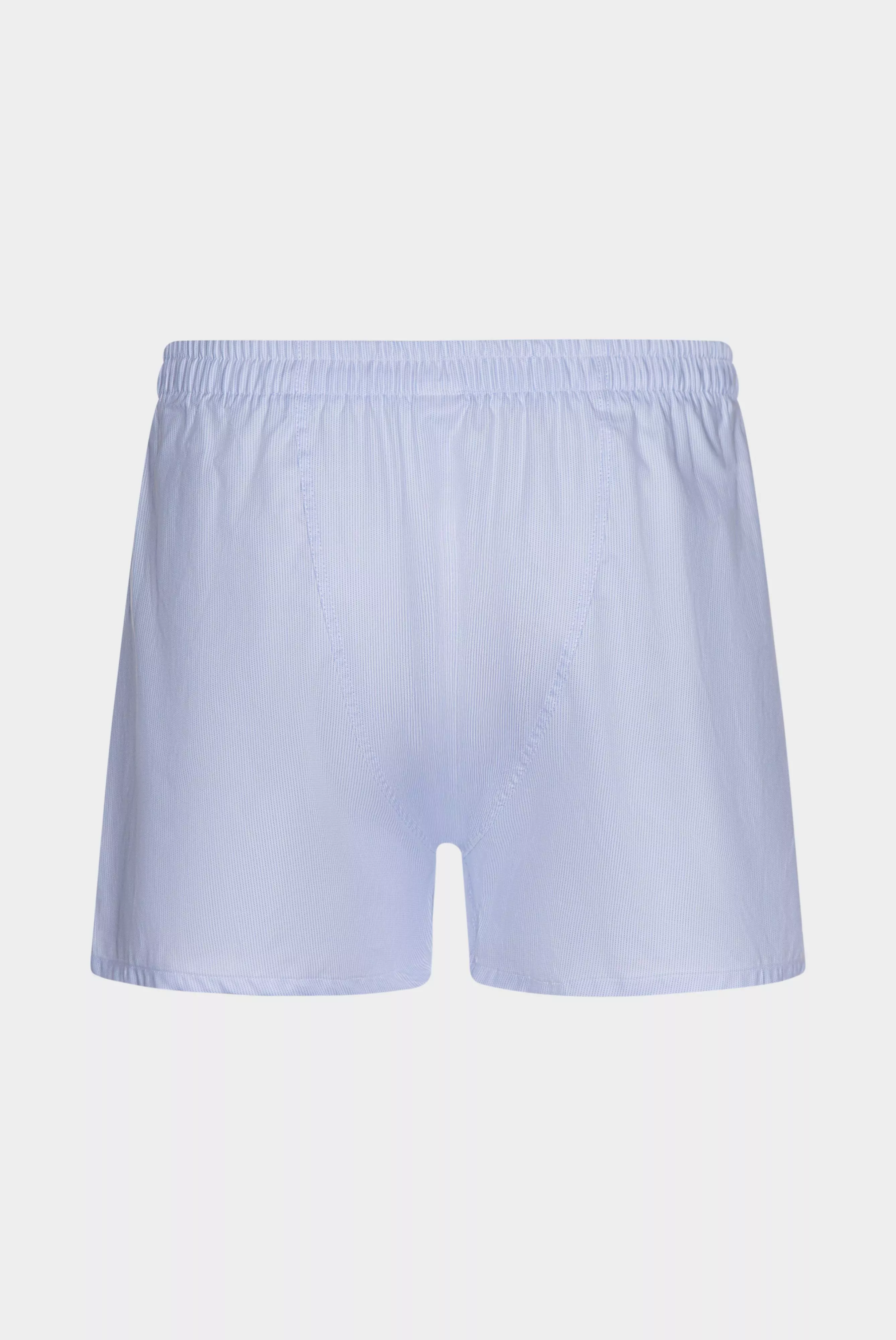 трусы BOXER голубой BOXER_161647_720 ,photo 3